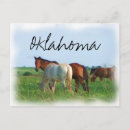 Search for country postcards Wild