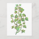 Search for ivy postcards leaves