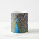 Search for peacock mugs Exotic