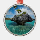 Search for fiji ornaments Coastline