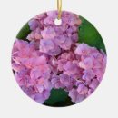 Search for hydrangea ornaments Pink