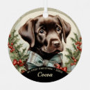 Search for chocolate lab ornaments Puppy