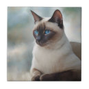 Search for cat tiles Animal