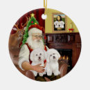 Search for bichon frise ornaments Dogs