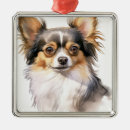 Search for long haired chihuahua ornaments Puppy