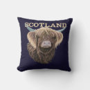 Search for highland cow pillows Scotland