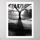 Search for tree posters Inspiring