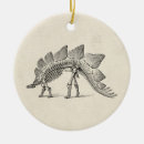 Search for fossil ornaments Paleontology