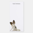 Search for papillon gifts Pet