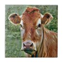 Search for cow print tiles Animals