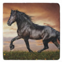 Search for horse trivets animal
