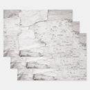 Search for birch bark wrapping paper Background