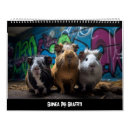 Search for graffiti calendars Humour