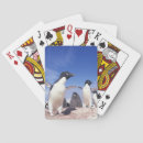 Search for adult playing cards Animal