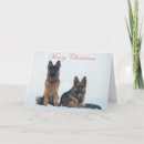 Search for german shepherd christmas cards Dogs