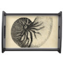 Search for seashell serving trays Ocean