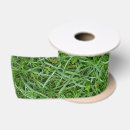 Search for green ribbon Background