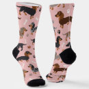 Search for pattern socks Puppy
