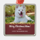 Search for dog walker ornaments Puppy