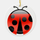 Search for ladybug ornaments Insect