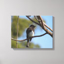 Search for black and white tree canvas prints Birds