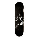 Search for cat skateboards Felines