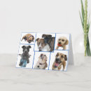 Search for rescue thank you cards Dogs