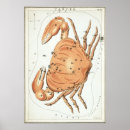 Search for birth zodiac chart Stars