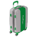Search for luggage Airplane
