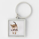 Search for chihuahua keychains Photography