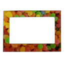 Search for multi color picture frames Colorful