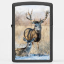 Search for deer lighters Doe