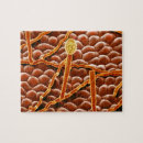 Search for electronic puzzles Color effect