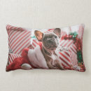 Search for french bulldog pillows Frenchy