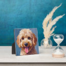 Search for dog plaques Puppy