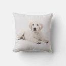 Search for golden retriever pillows Puppy