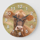 Search for cow clocks Farm animals