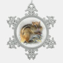 Search for chipmunk ornaments Nature