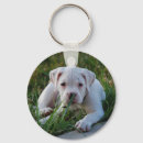 Search for boxer keychains Puppies