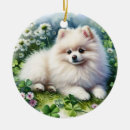 Search for poms ornaments Pomeranian