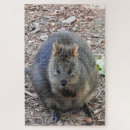 Search for quokka gifts Australia