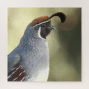 Search for male puzzles Nature