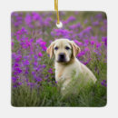 Search for yellow lab ornaments Puppies