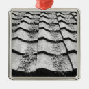 Search for roofing ornaments Asia