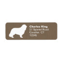 Search for cavalier king charles Spaniel