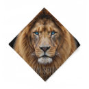Search for lion gifts Lions