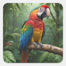 Search for parrot stickers Macaw