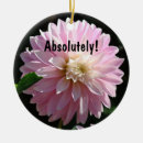 Search for dahlia flower ornaments Nature