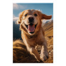 Search for golden retriever posters Dog