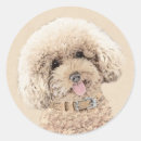 Search for apricot stickers poodle